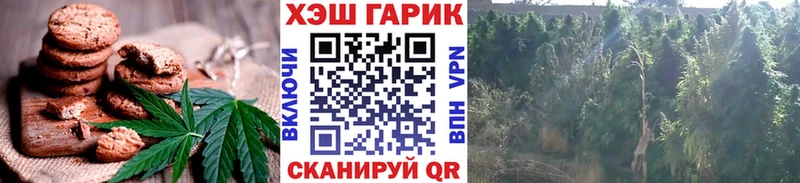 omg как войти  Среднеуральск  Печенье с ТГК конопля 