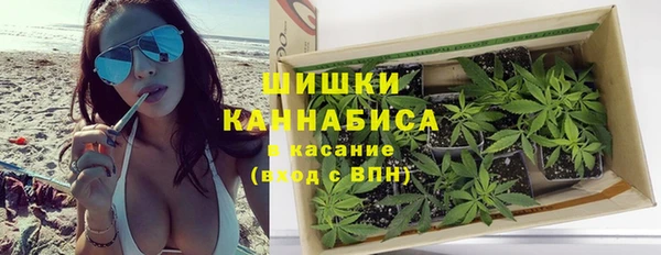 крисы Арсеньев