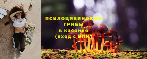 трава Армянск