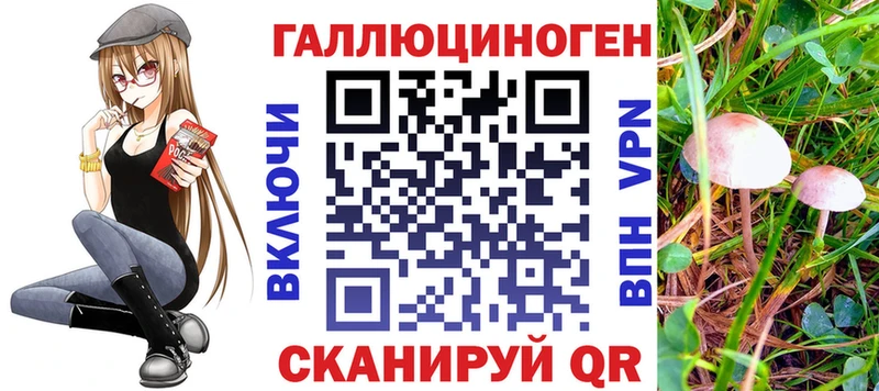 купить   Среднеуральск  Галлюциногенные грибы Magic Shrooms 